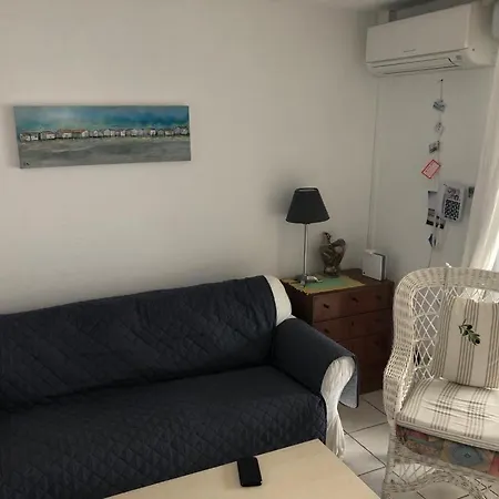 L'aiglefin Piscine Clim Jardin 5 Pers Gruissan